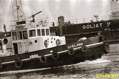 IMG_20170221_0053 GOELAND Canal Caen à la Mer (Copier).jpg
