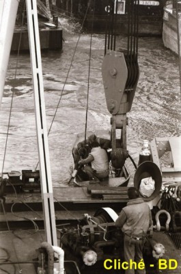 IMG_20160120_0037_NEW (Copier).jpg (82.36 Kio) Vu 3954 fois IMG_20160120_0037_NEW (Copier).jpg