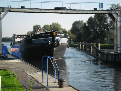 SAM_0726.JPG