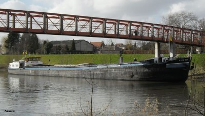 SAM_1156.JPG