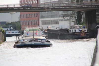 IMG_3895.JPG (131.26 Kio) Vu 1142 fois IMG_3895.JPG