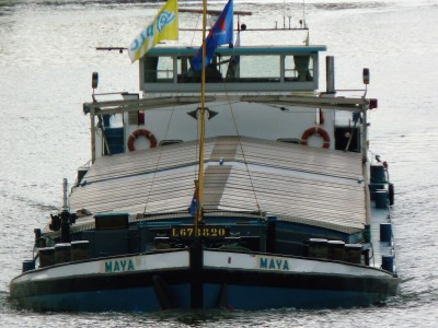 Maya-6-06-04-2017-sluis-Lith (2).JPG (233.79 Kio) Vu 2421 fois Maya-6-06-04-2017-sluis-Lith (2).JPG