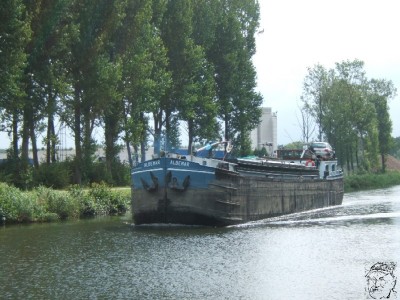 2007_0803x20031.JPG