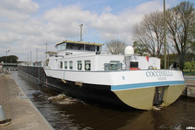 IMG_4021.JPG (126.88 Kio) Vu 1232 fois IMG_4021.JPG