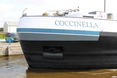 IMG_4020.JPG (83.37 Kio) Vu 1232 fois IMG_4020.JPG