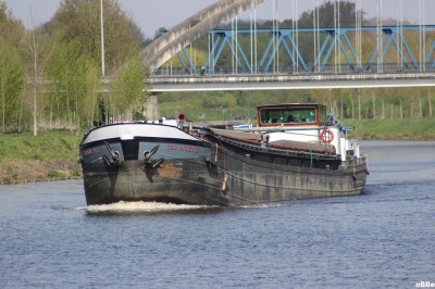 IMG_3973.JPG