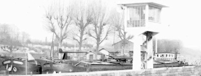 PANTHERE d.jpg (118.72 Kio) Vu 2919 fois PANTHERE d.jpg