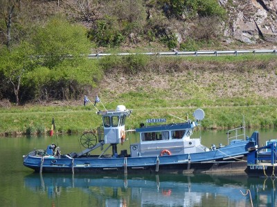06503775-Riven-1-24-04-2017.JPG