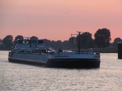 sardana-1-03-08-2009.jpg (53.95 Kio) Vu 1323 fois sardana-1-03-08-2009.jpg