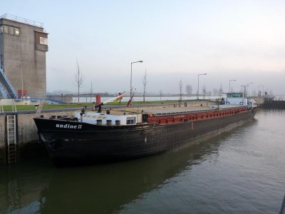 undine-II-1-20-01-2010.jpg
