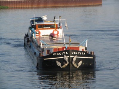 vincita-1-19-05-2009.jpg