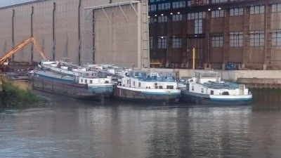 van der Gucht à Hoboken - mai 2016 - photo Julien Cornu (2).jpg (56.53 Kio) Vu 3333 fois van der Gucht à Hoboken - mai 2016 - photo Julien Cornu (2).jpg