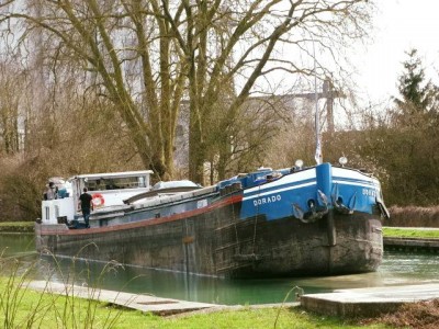 DORADO - Berry-au-Bac - mars 2017 (2).jpg (76.54 Kio) Vu 3329 fois DORADO - Berry-au-Bac - mars 2017 (2).jpg