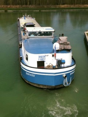 DORADO - Berry-au-Bac - mars 2017 (3).jpg (36.63 Kio) Vu 3329 fois DORADO - Berry-au-Bac - mars 2017 (3).jpg