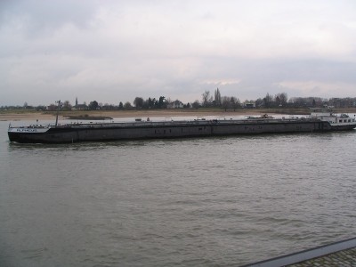 alpheus-1-16-02-2006.jpg