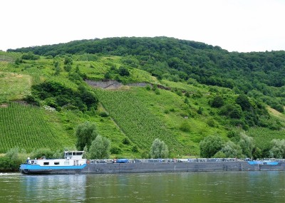 KVB-Tanja-Deymann-1-en-2-8-01-07-2016 (2).JPG