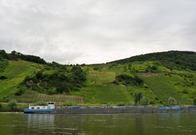 KVB-Tanja-Deymann-1-en-2-7-01-07-2016 (2).JPG