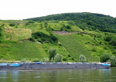 KVB-Tanja-Deymann-1-en-2-5-01-07-2016 (2).JPG