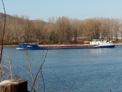 20170220_131929 (Copier).jpg (110.69 Kio) Vu 8078 fois 20170220_131929 (Copier).jpg