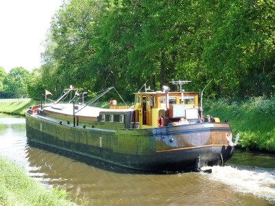 Salve-4-25-05-2017-Nieuweroord-Hoogeveensche-vaart (2).JPG