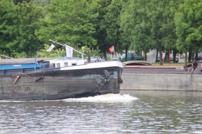 IMG_4355.JPG (171.28 Kio) Vu 1172 fois IMG_4355.JPG