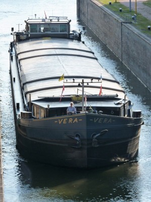 Vera-3-06-09-2016-Sluis-Weurt (2).JPG