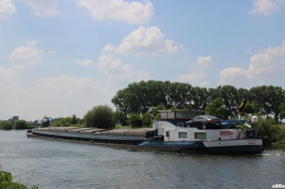 IMG_4365.JPG
