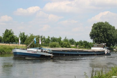 IMG_4362.JPG