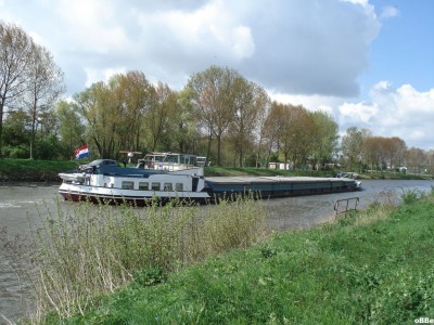 Zephir 03.JPG
