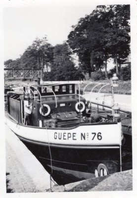 Guêpe No. 76 (DR, Coll. vM) - resized.jpg