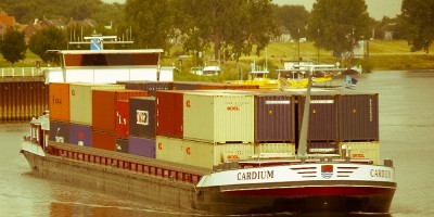 Cardium-5-jpg.jpg (143.31 Kio) Vu 1427 fois Cardium-5-jpg.jpg