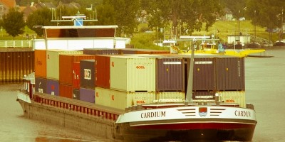 Cardium-4-jpg.jpg (139.22 Kio) Vu 1427 fois Cardium-4-jpg.jpg