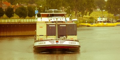 Cardium-3-jpg.jpg (130.72 Kio) Vu 1427 fois Cardium-3-jpg.jpg