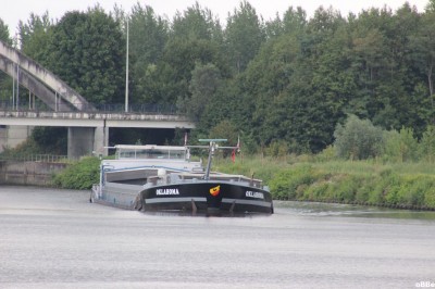 IMG_5025.JPG