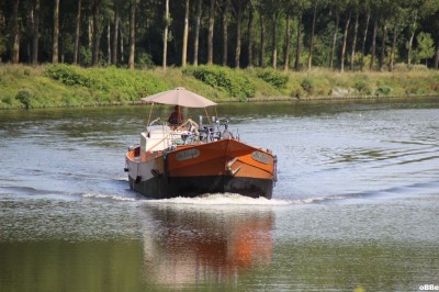 IMG_5201.JPG (159.25 Kio) Vu 1666 fois IMG_5201.JPG