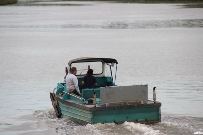 IMG_5114.JPG (99 Kio) Vu 3141 fois IMG_5114.JPG