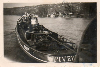 pivert 1.jpg (96.4 Kio) Vu 3315 fois pivert 1.jpg