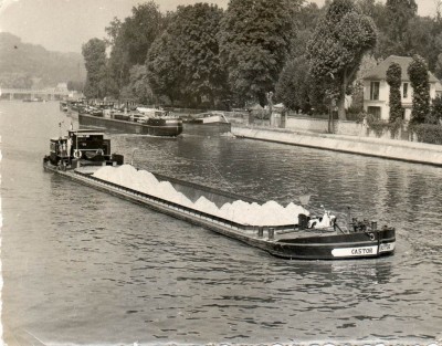 castor.jpg (183.39 Kio) Vu 2539 fois castor.jpg