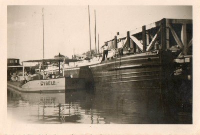 cybèle et yser.jpg (74.67 Kio) Vu 1596 fois cybèle et yser.jpg