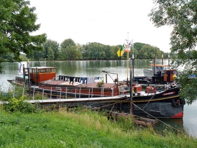 Tetje-Apolonia-1-11-08-2017-Woudrichem (2).JPG