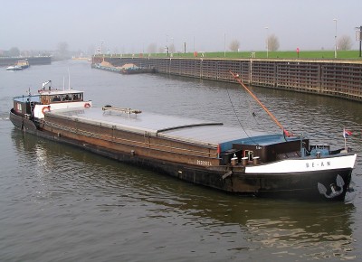 bean-2-06-11-2008.jpg