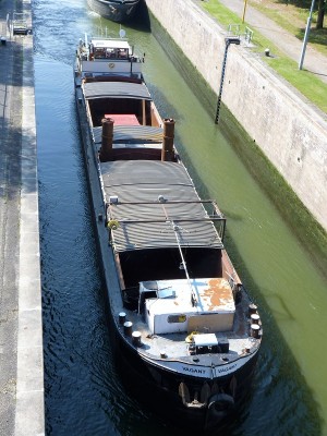 Vagant-4- 04-09-2017-sluis-Weurt (2).JPG