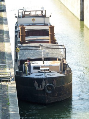 Vagant-3- 04-09-2017-sluis-Weurt (2).JPG