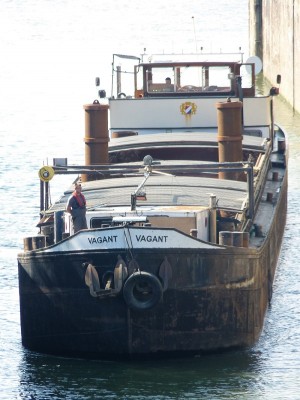 Vagant-2- 04-09-2017-sluis-Weurt (2).JPG