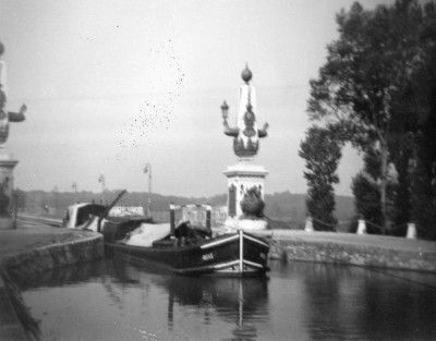 boxe briard.jpg (84.21 Kio) Vu 2470 fois boxe briard.jpg