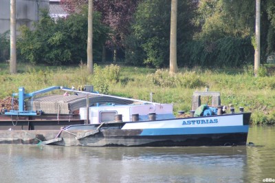 IMG_5684.JPG (167.85 Kio) Vu 3214 fois IMG_5684.JPG