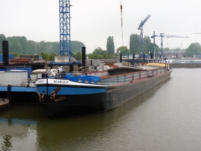 marjan-3-01-06-2010.jpg