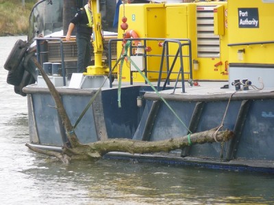RPA-1-11-08-10-2017-Dordrecht (2).JPG (155.91 Kio) Vu 1896 fois RPA-1-11-08-10-2017-Dordrecht (2).JPG