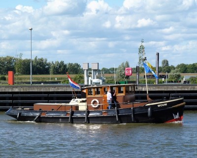 wouw-1-24-08-2010.jpg