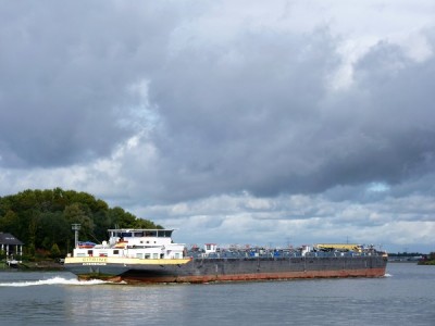 Citrine-2-08-10-2017-Dordrecht (2).JPG